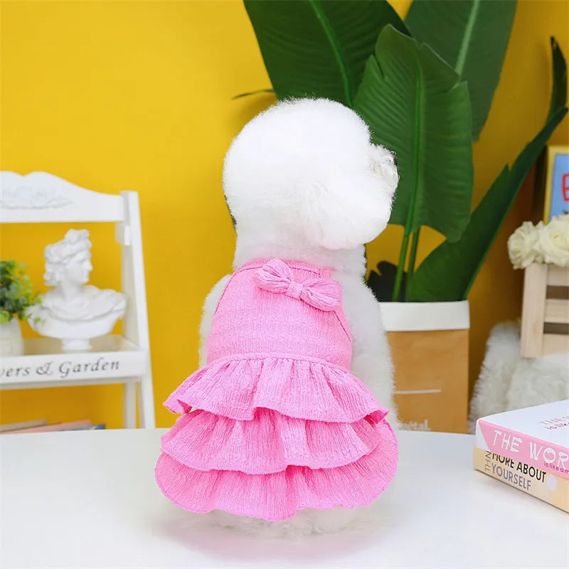 Small dog wearing a rose red princess dress with a layered candy skirt.