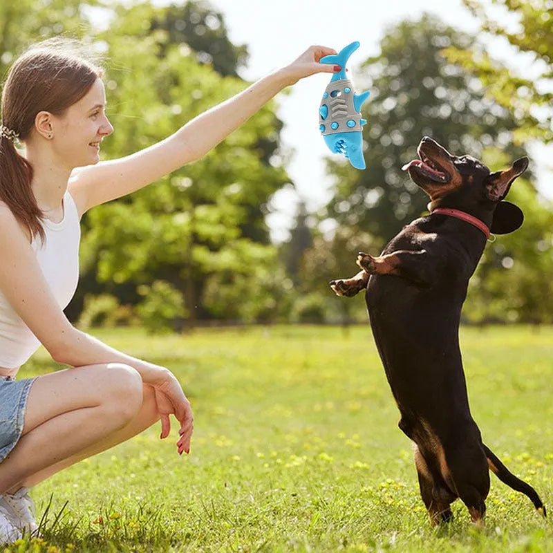 Blue durable rubber dog toy with shark-tooth texture for teething and dental cleaning.