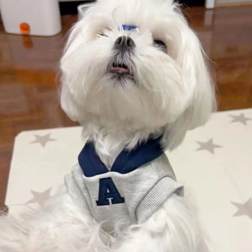 Blue and grey white slim-fit polyester hoodie for pets with reflective lettering on the back.