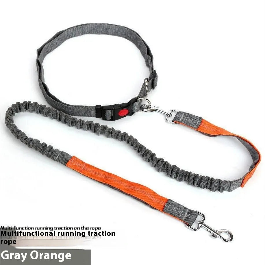 Grey and green reflective elastic dog leash with 2.5cm nylon width and clip attachment