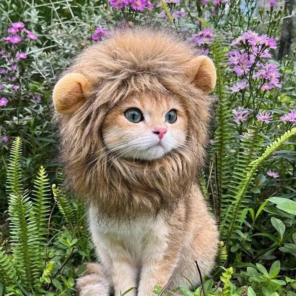 Lion mane wig costume accessory for a cat, showing plush ears and adjustable elastic band