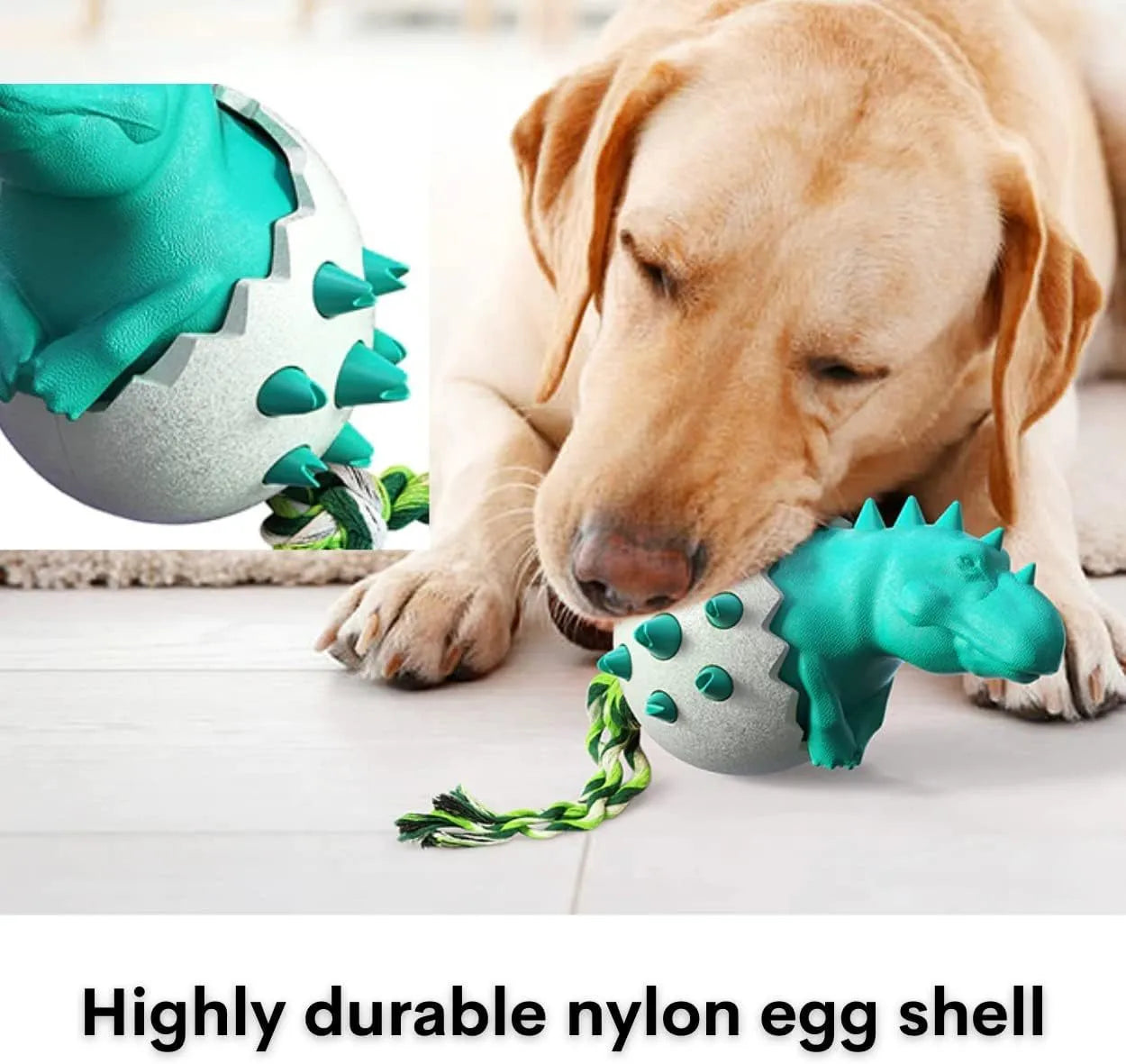 Blue dinosaur-shaped dog chew toy with an attached nylon rope on a neutral background.