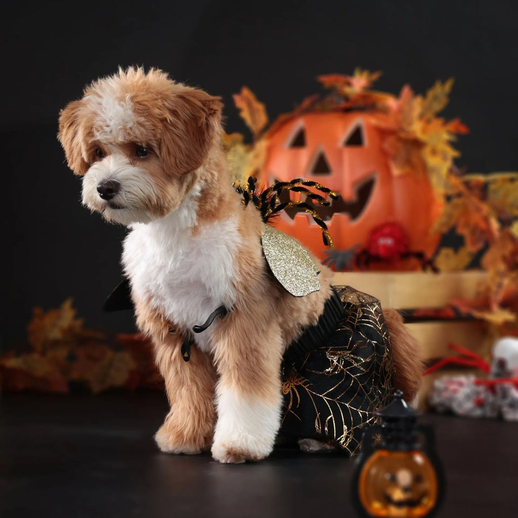 Black suit Halloween costume for dogs in polyester fabric available in multiple sizes