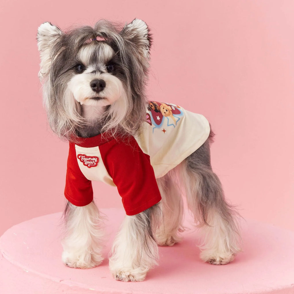 Red cotton summer dog clothes with contrast colour design on a small dog