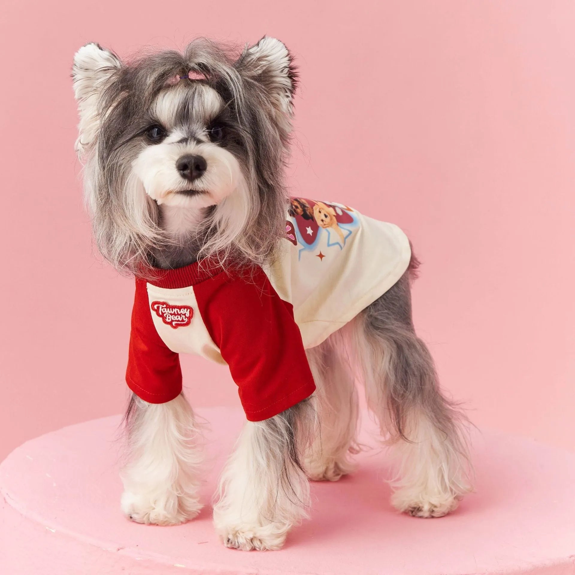 Red cotton summer dog clothes with contrast colour design on a small dog