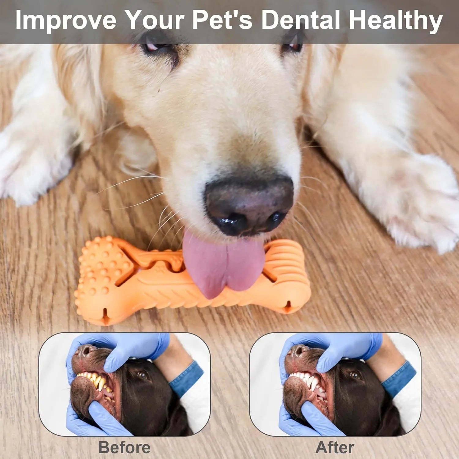 Bone-shaped natural rubber dog chew toy in blue green orange colours