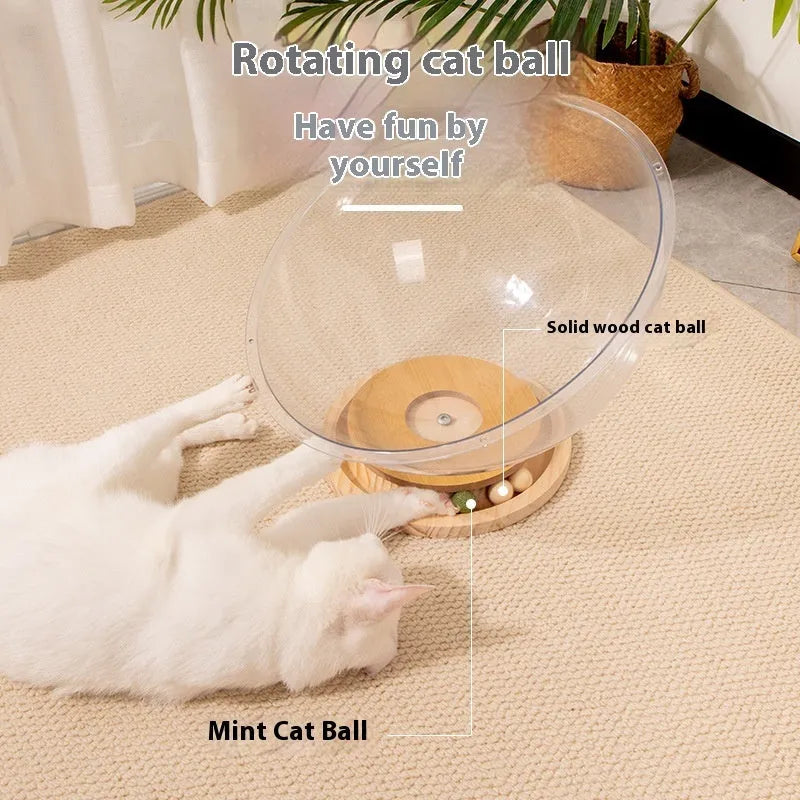 Transparent acrylic cat space capsule bed with turntable base on floor