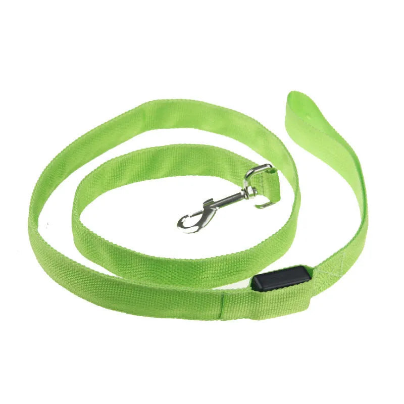 LED luminous nylon dog leash 120cm length 2.5cm width blue colour