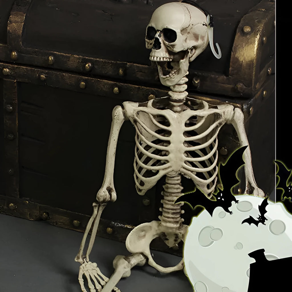 170cm tall plastic skeleton model for anatomical study and decorative props