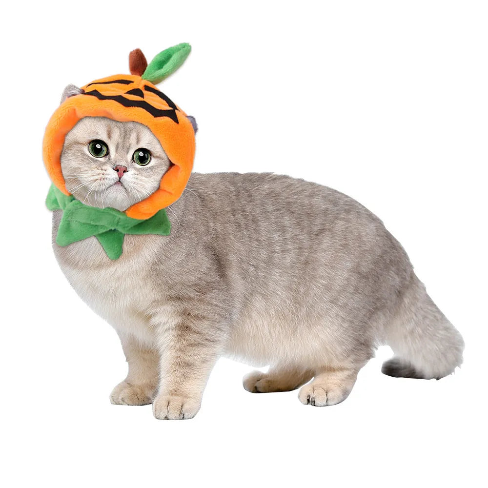 Halloween pumpkin reversible pet cloak with matching hat on dog