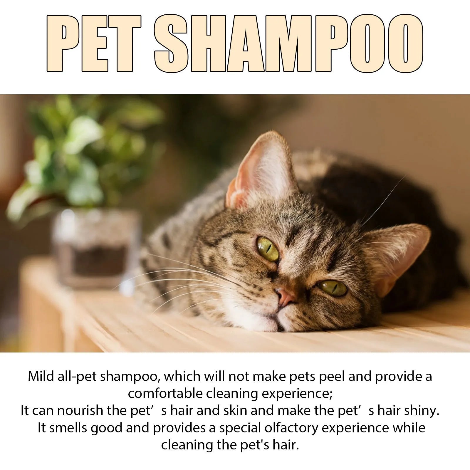 Bottle of mild pet shampoo for dogs and cats, available in 100ml and 300ml sizes.