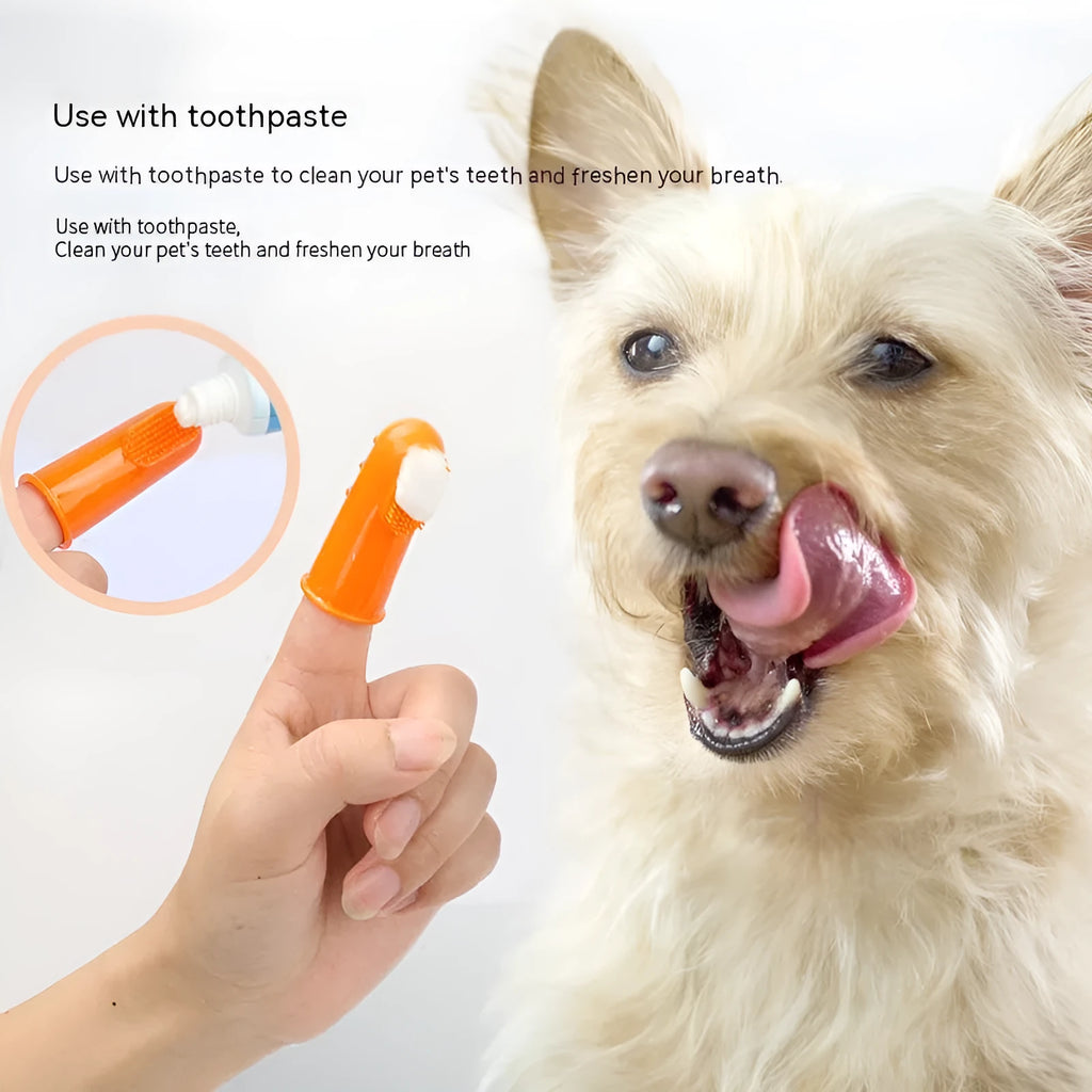 4-piece boxed set of soft TPR pet finger toothbrushes for cats and dogs