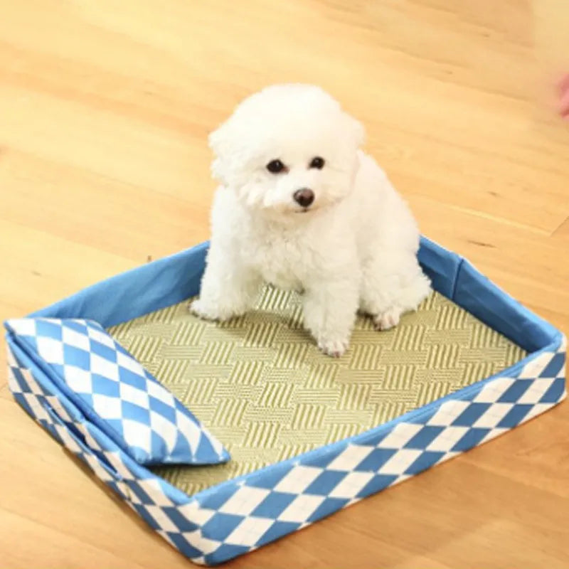 Blue rattan cat litter mat with integrated sleeping nest beside a litter tray, showing size scale.