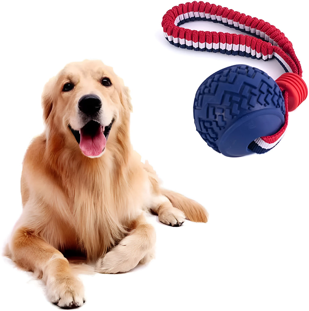 Blue rubber dog ball with attached rope for tug-of-war games