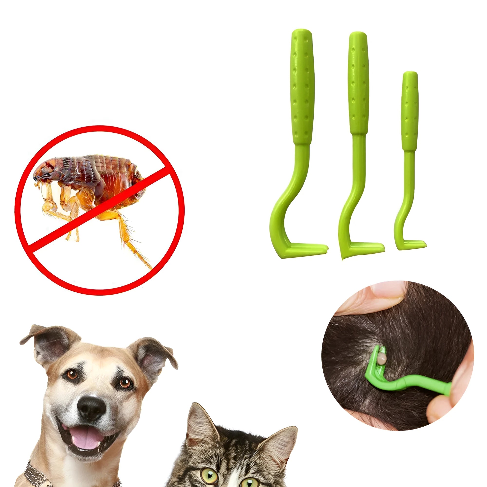 Three plastic pet tick removal tools in blue and green colours with hook design for parasite extraction