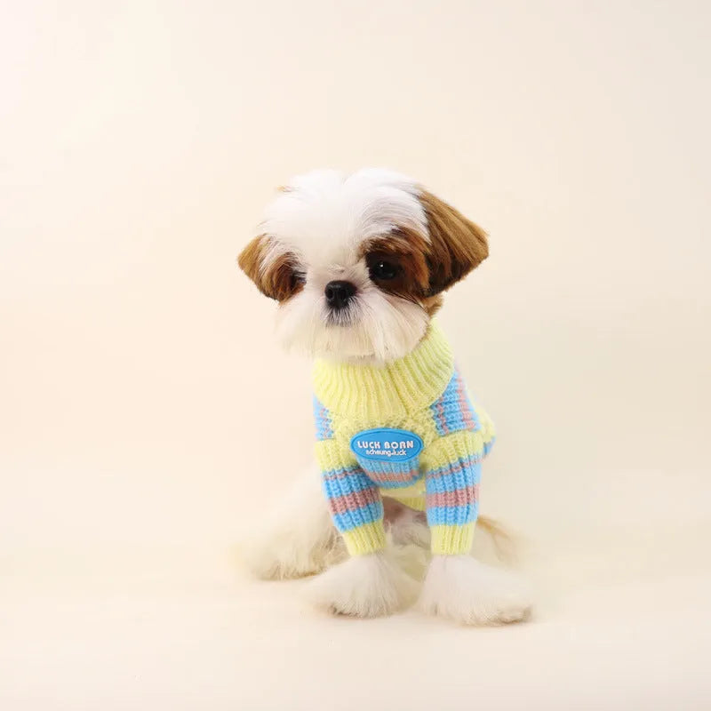 Blue and yellow striped wool sweater for a small dog on a mannequin, showing casual style.