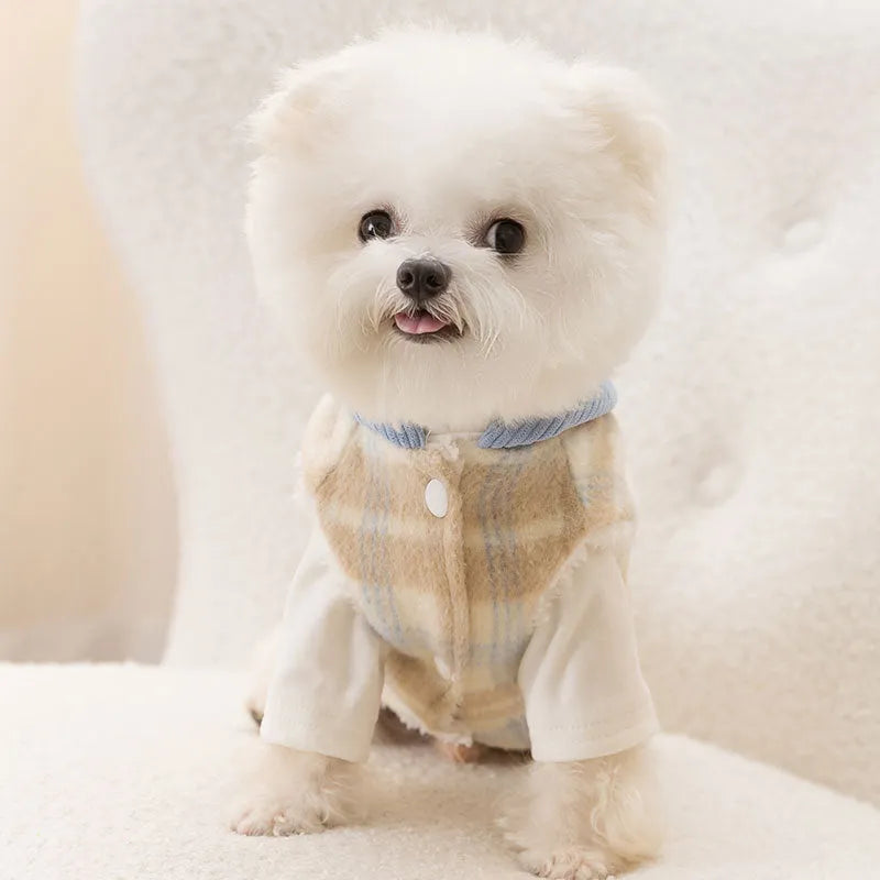Blue corduroy chessboard grid hooded vest for dog on model showing hooded traction design