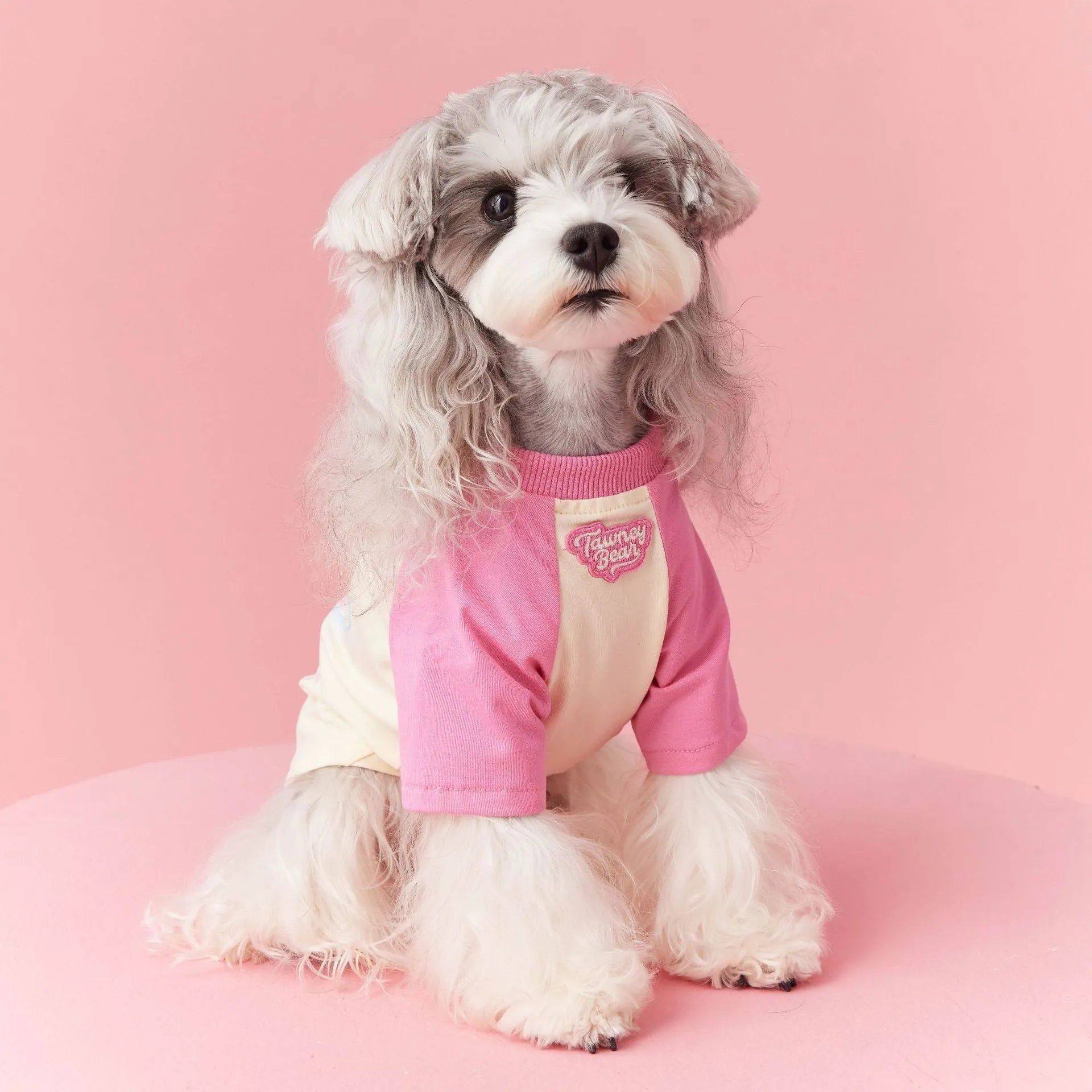 Red cotton summer dog clothes with contrast colour design on a small dog