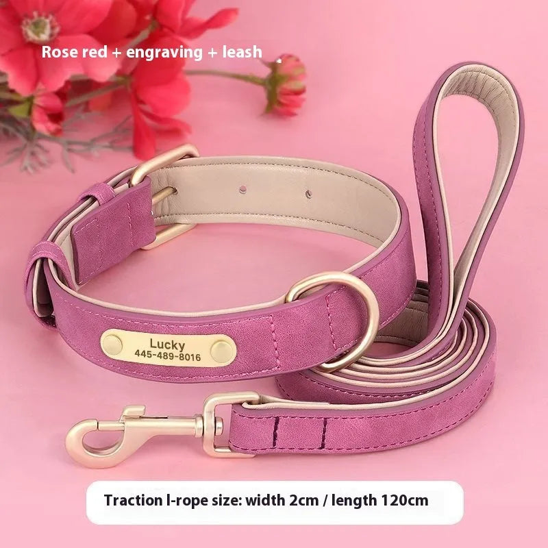 Blue double-layer leather dog collar and matching lead set for medium-sized dogs