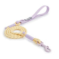 Solid colour PVC dog hand-holding rope leash in dark red purple yellow and taoyao green options.