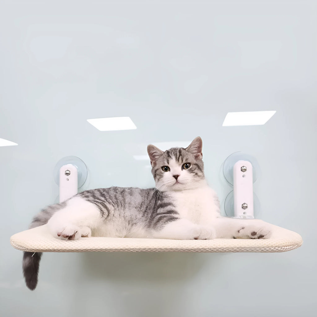 Foldable stainless steel cat window seat with suction cups attached to a window, available in beige mesh, grey mesh, or grey plush.