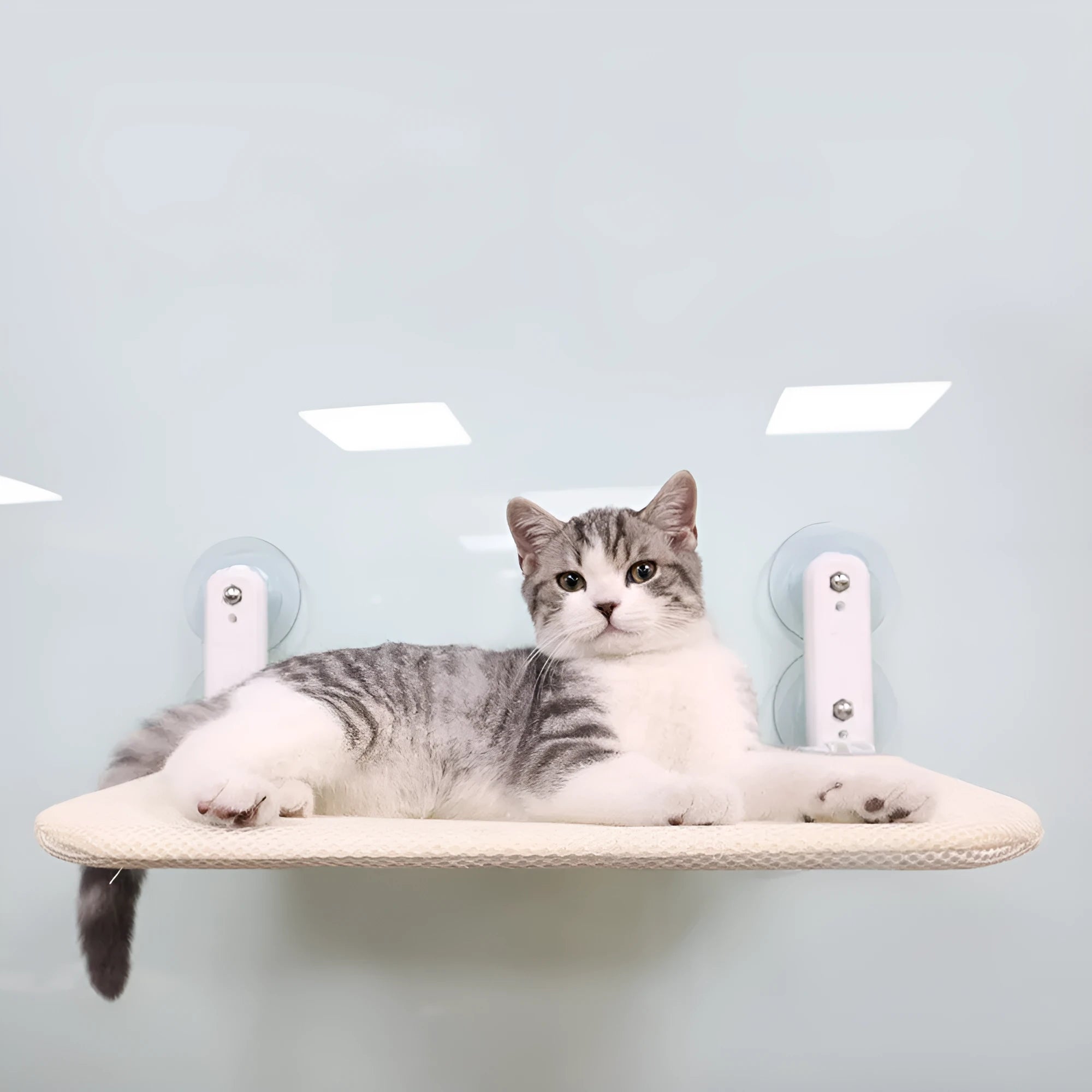 Foldable stainless steel cat window seat with suction cups attached to a window, available in beige mesh, grey mesh, or grey plush.
