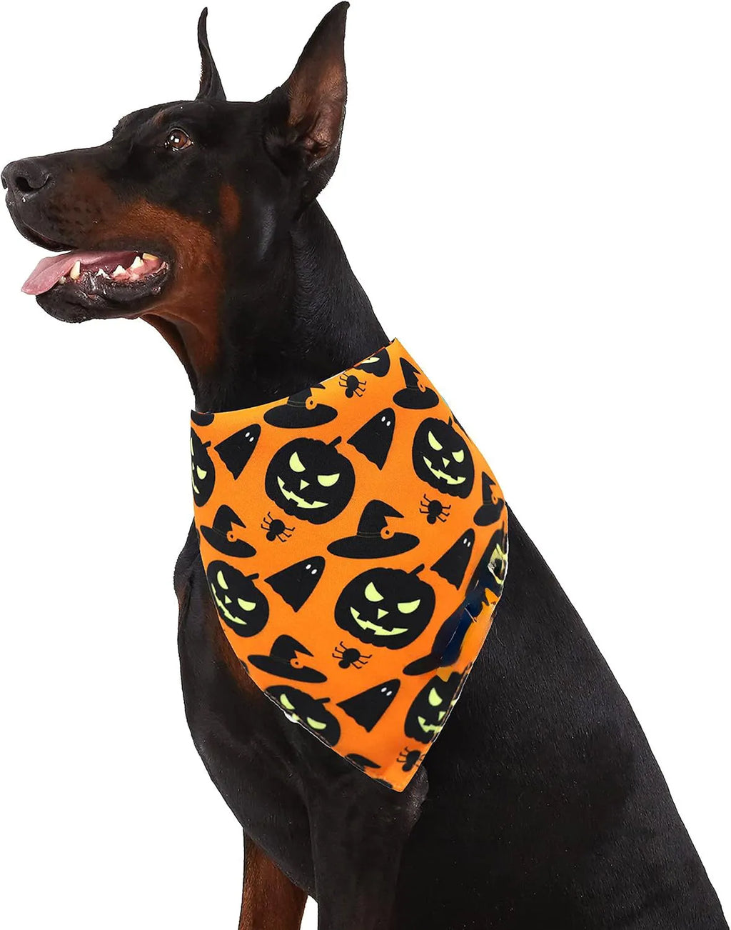 Black and orange reversible Halloween dog bandana with pumpkin and spider web patterns, adjustable for necks up to 16 inches