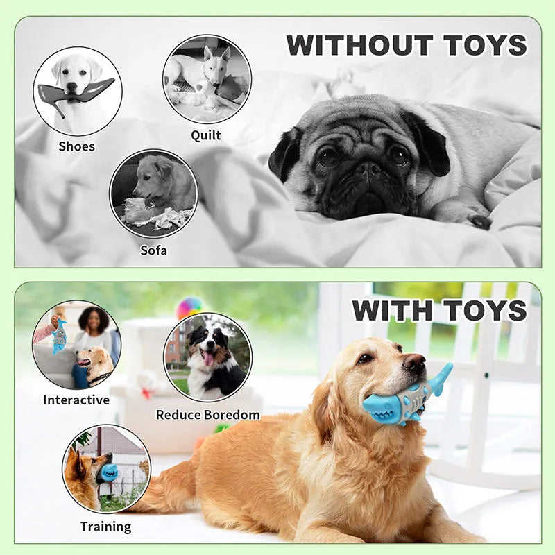 Blue durable rubber dog toy with shark-tooth texture for teething and dental cleaning.