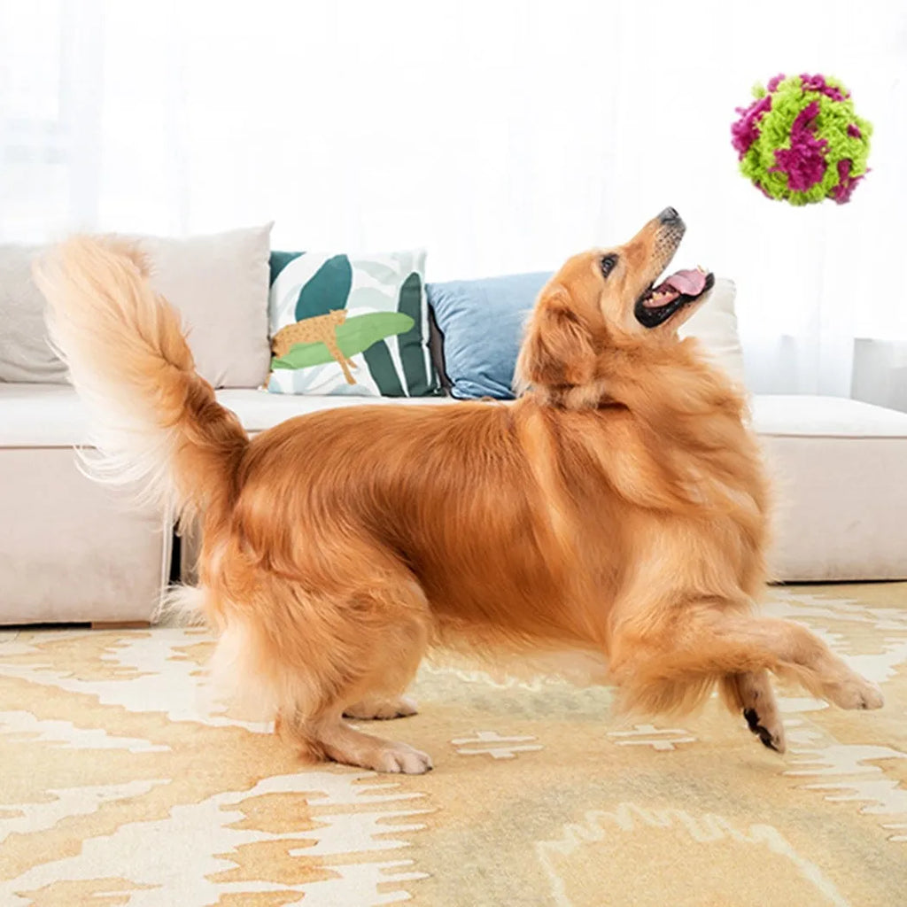 Purple plush dog ball toy with seaweed knot texture for chewing and interactive play
