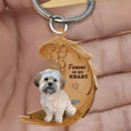 Square acrylic dog car hanging ornament with colourful picture style design