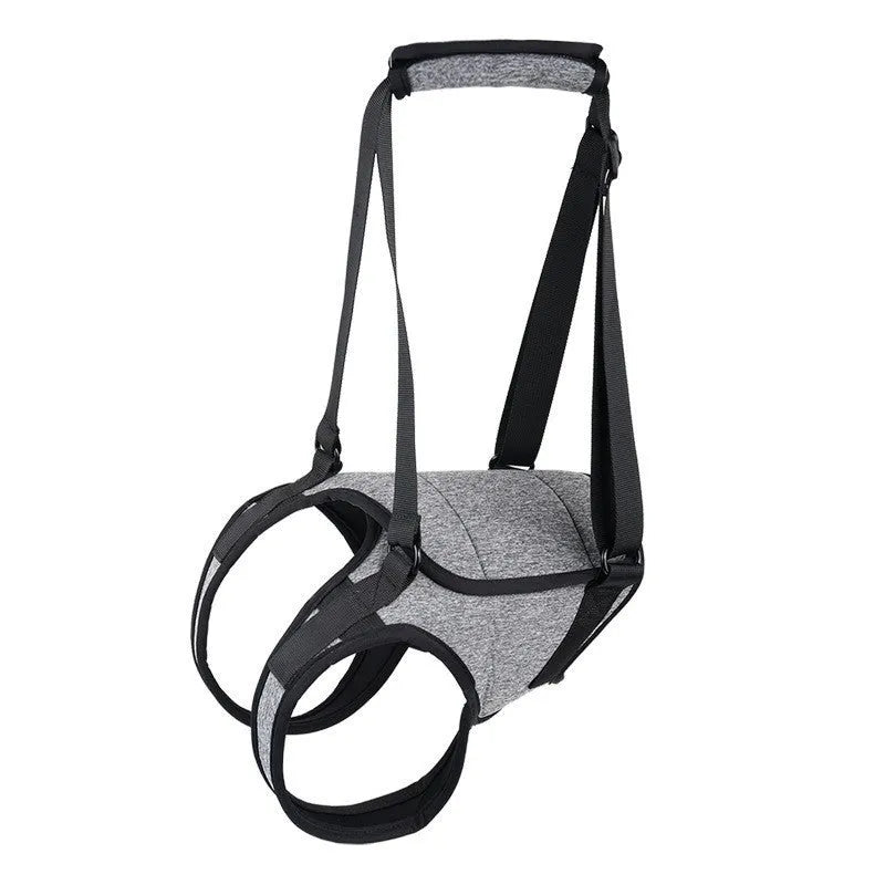 Grey neoprene dog recovery belt wrapped around a dog's waist and thigh for rear leg support.