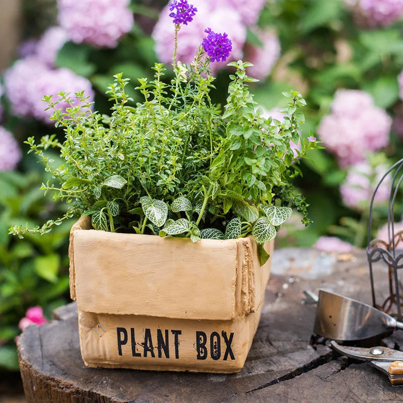 Cement flowerpot with perforated base and imitation carton paper texture for indoor planting