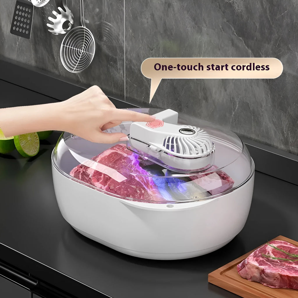 Aluminium quick defrosting plate with separate control unit for thawing frozen foods