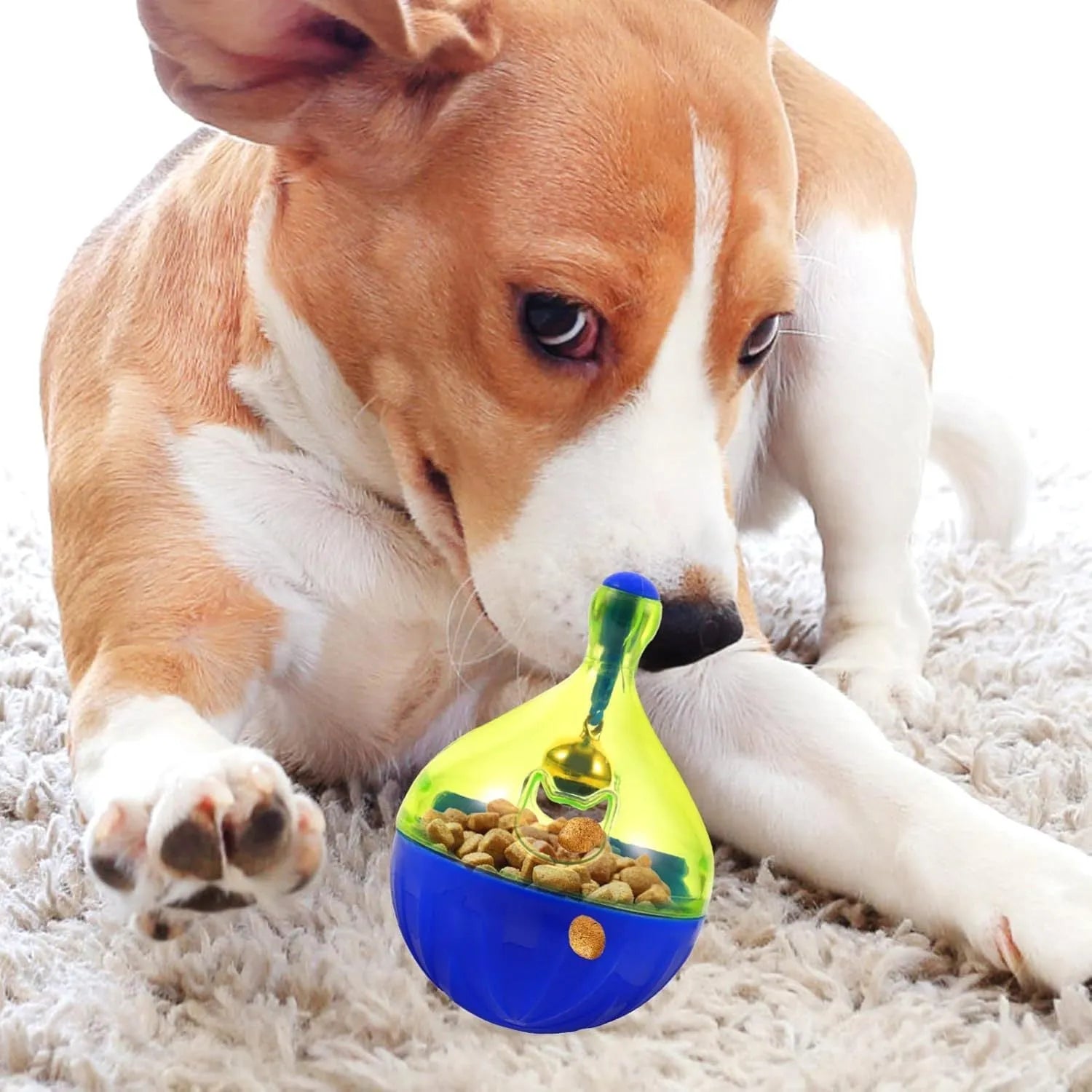 White tumbler-shaped dog and cat treat dispenser toy on a wooden floor