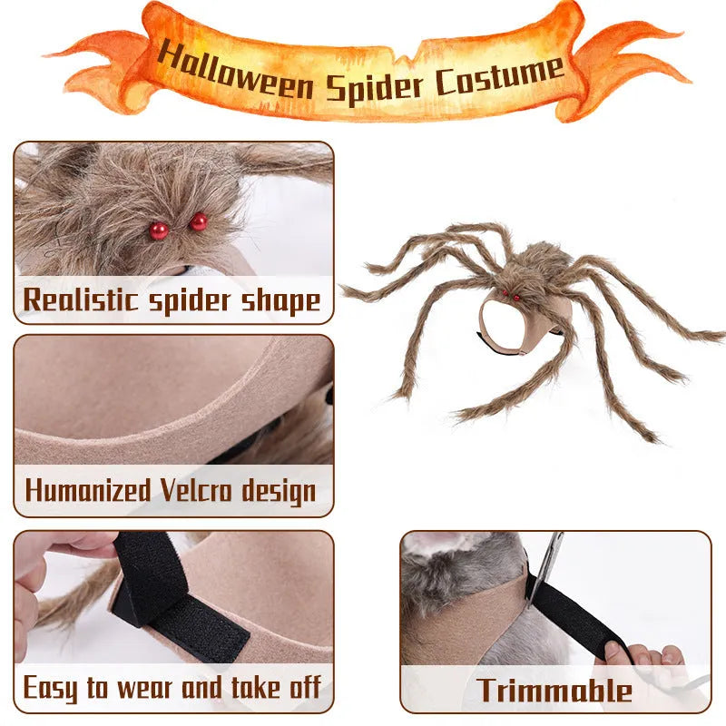 Halloween spider pet costume for dogs and cats in black and purple full-body design