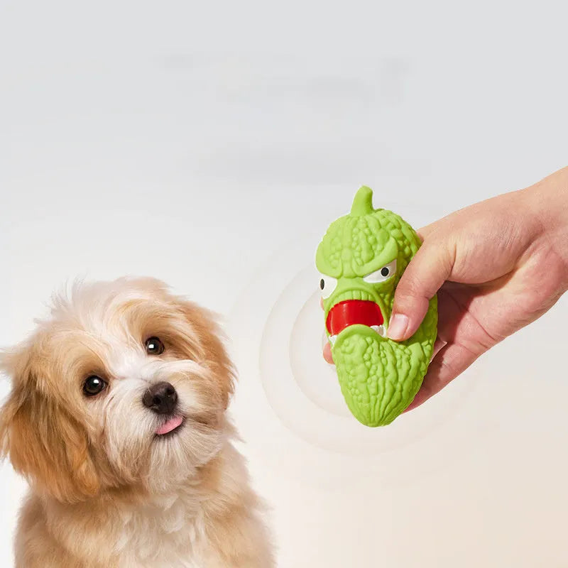 Bitter melon or chilli shaped dog chew toy with textured surface for teeth cleaning and integrated sound element