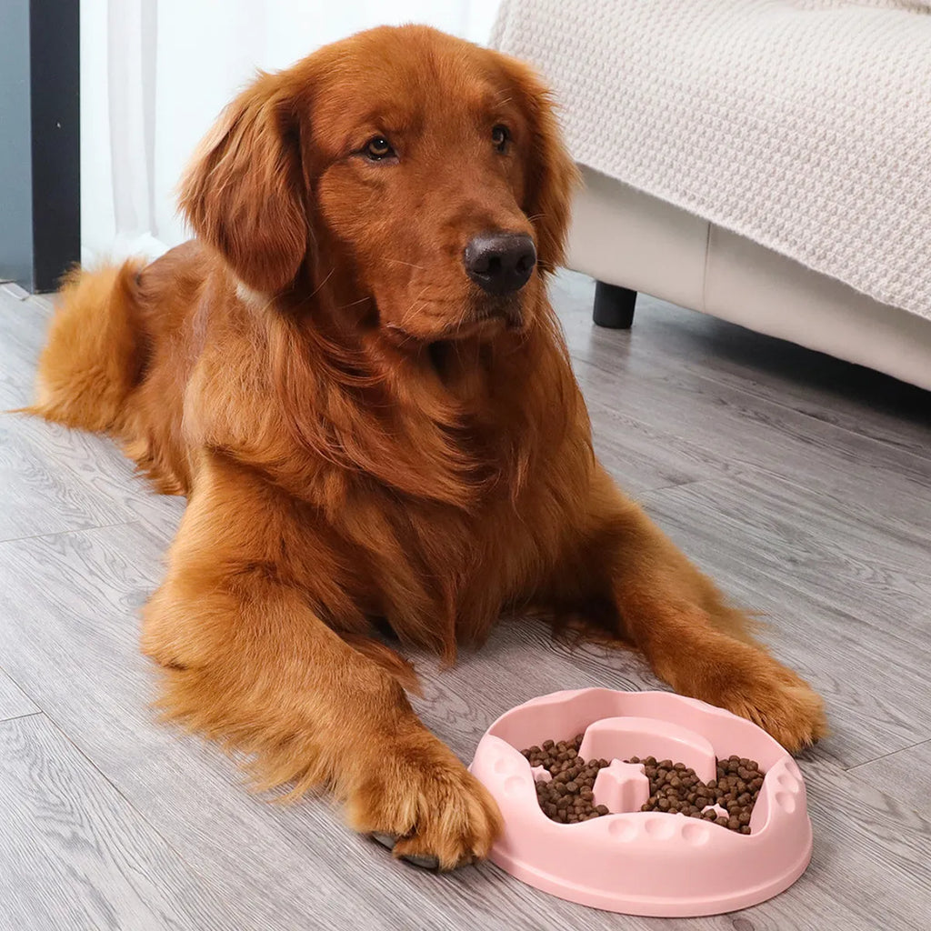 Moon star wings design pet slow food bowl with anti-slip base in multiple colours