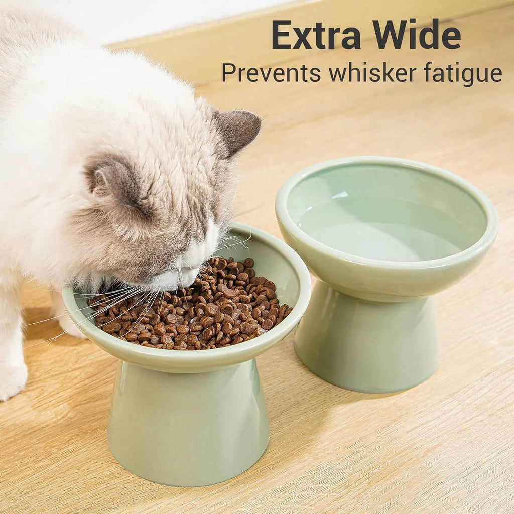 Ceramic elevated cat food bowl in blue showing wide shallow design and raised height