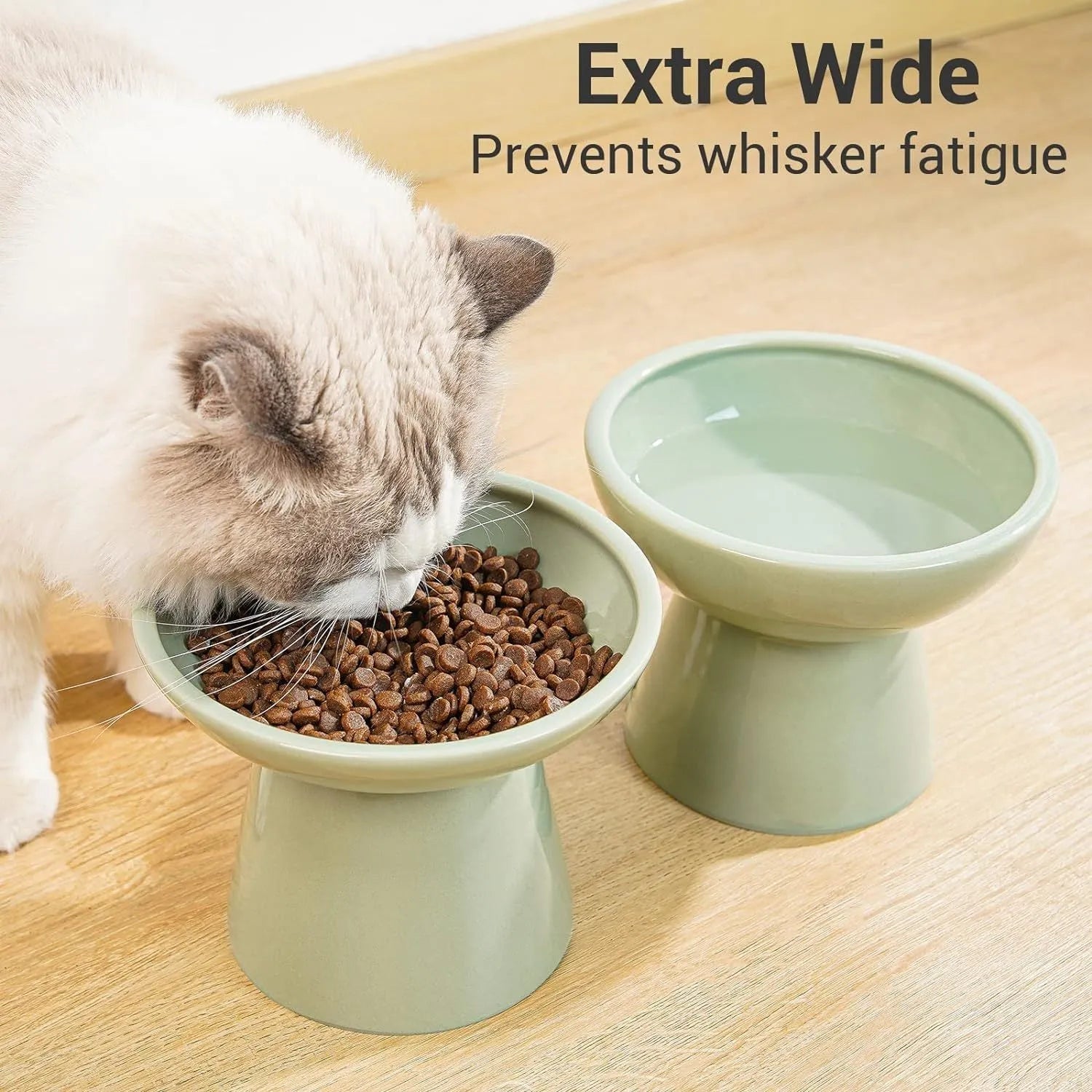 Ceramic elevated cat food bowl in blue showing wide shallow design and raised height