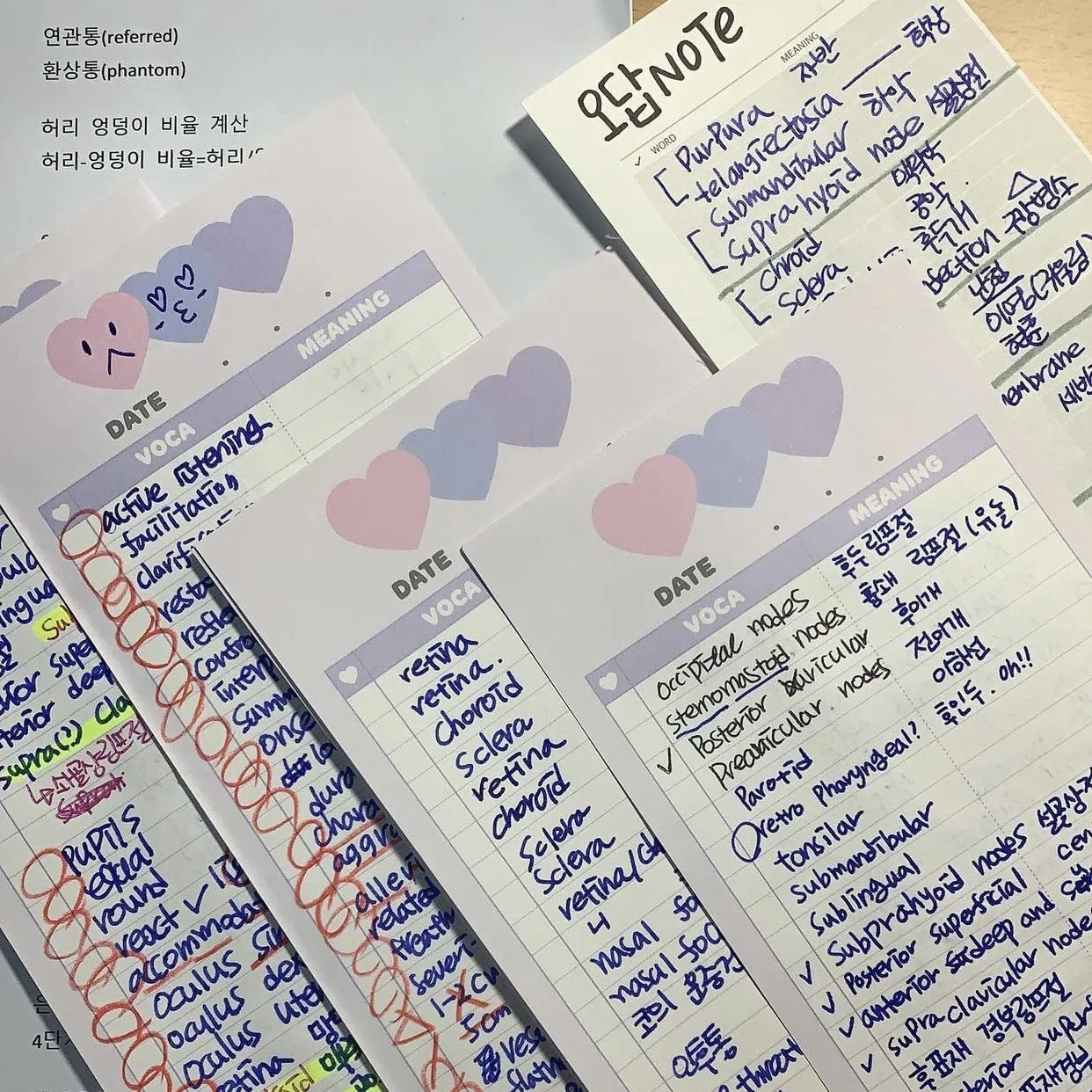 Vertical double-sided notepad with English words printing in B5 half size with coloured cover