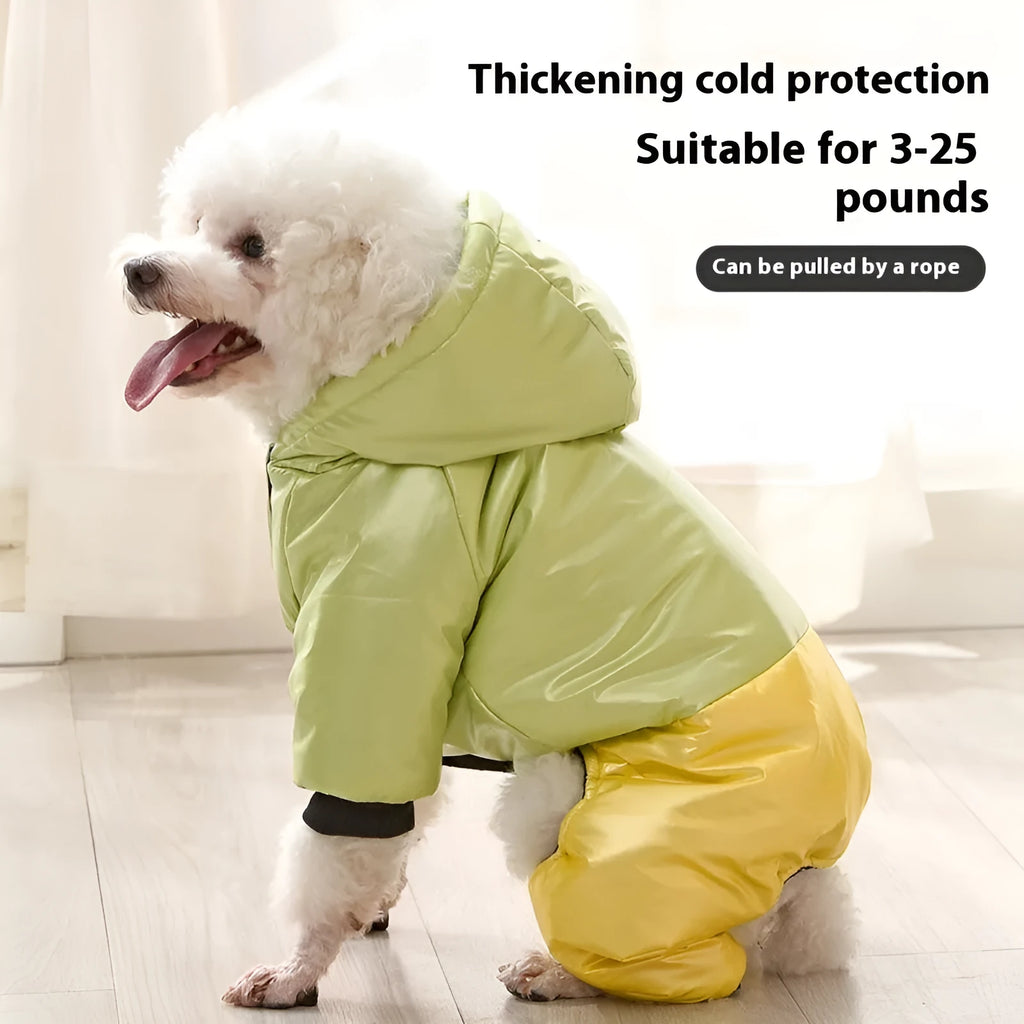 Green waterproof cotton dog coat with four-legged design on medium-sized dog
