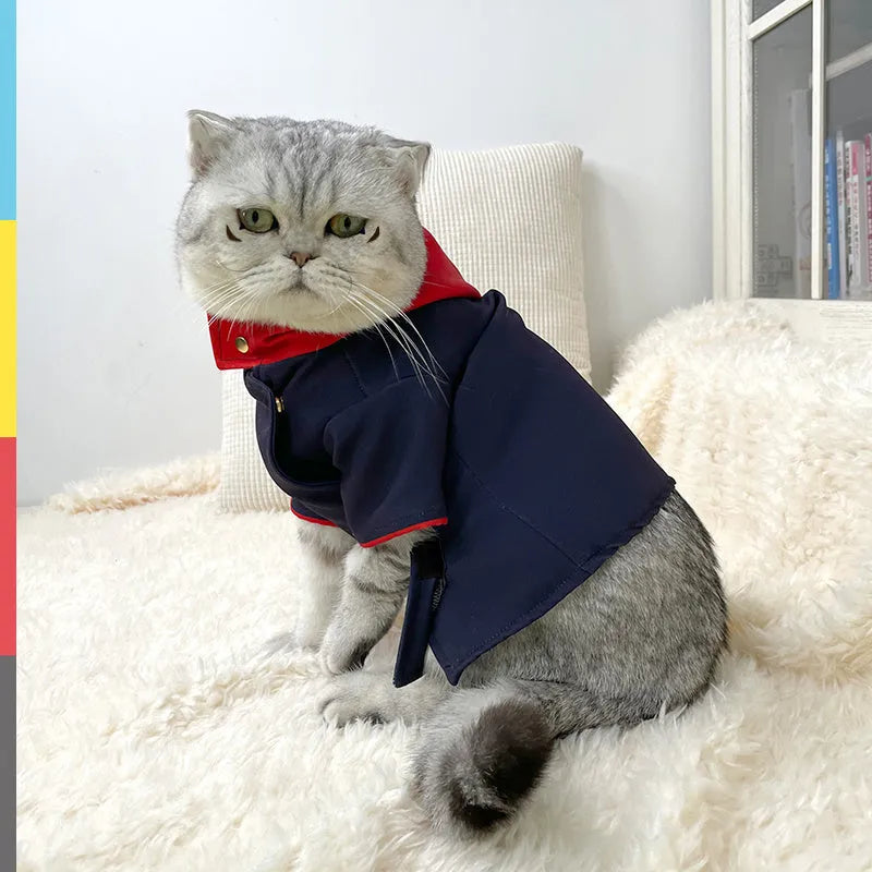 Tiger stripe patterned hoodie for cats and dogs as photo prop in small and medium sizes