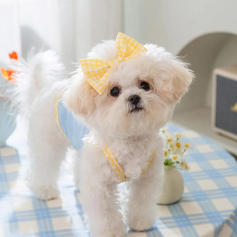 Small dog wearing blue elastic vest with heart texture and decorative bow