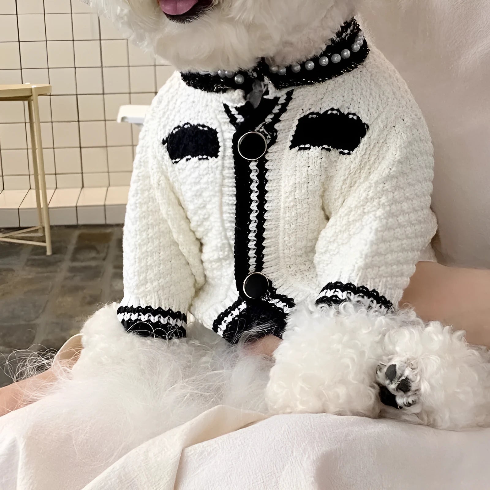 Korean style puppy sweater with pearl collar in white or black colour for small dogs