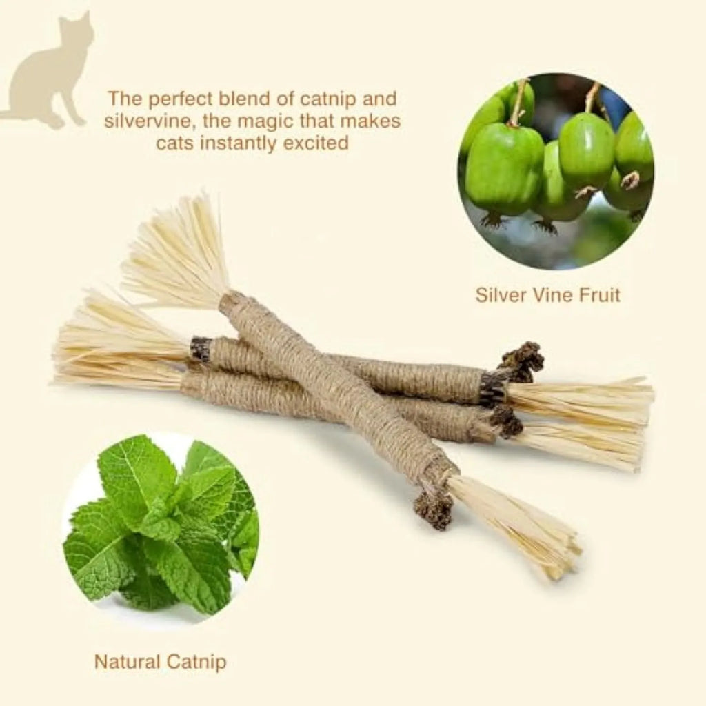 3 natural silvervine dental sticks for cats with sisal rope and raffia, thick and fine diameter options