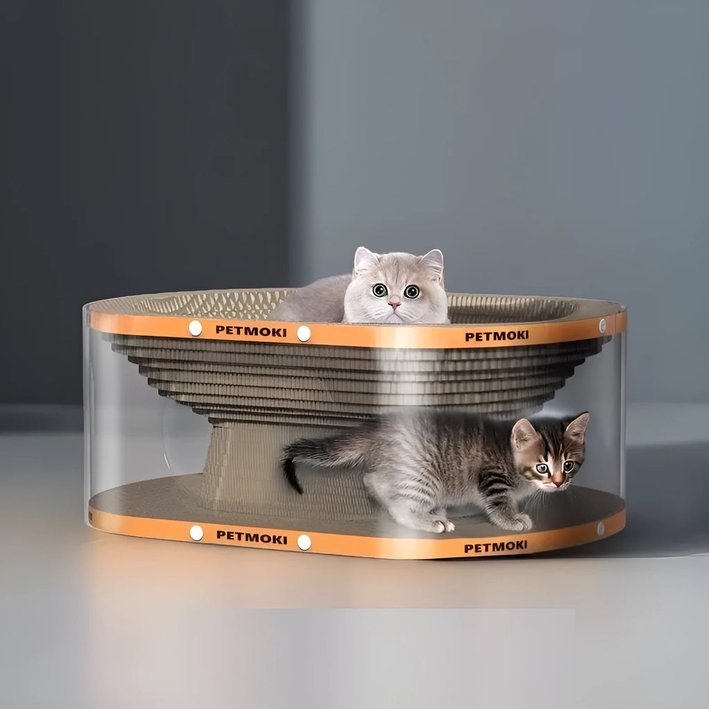 White transparent cat scratch board and nest tunnel toy with diamond design measuring 58x45x23cm