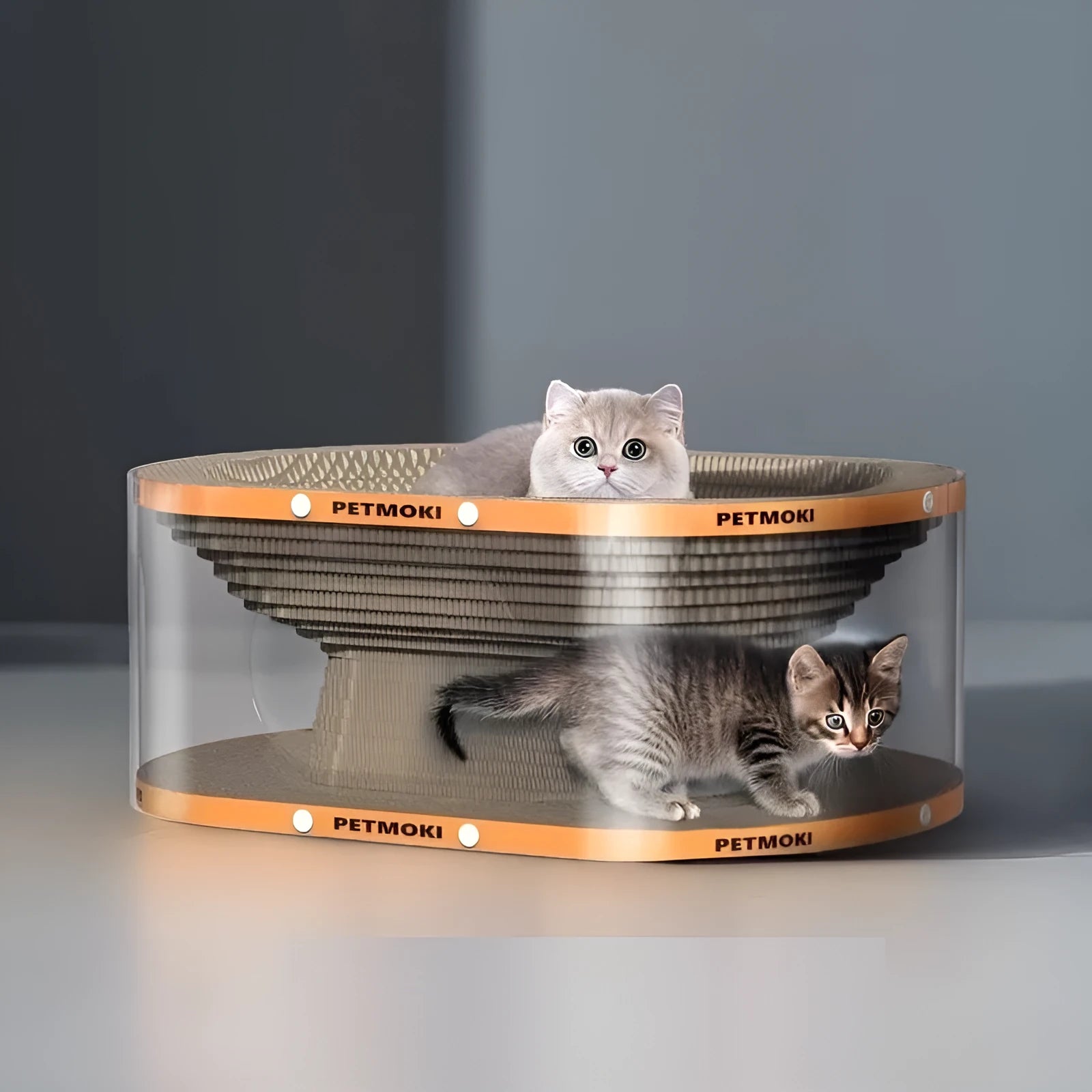 White transparent cat scratch board and nest tunnel toy with diamond design measuring 58x45x23cm
