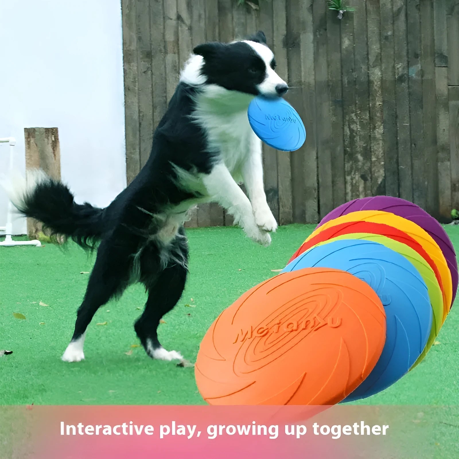 Soft rubber dog frisbee toy in blue, green and red colour options