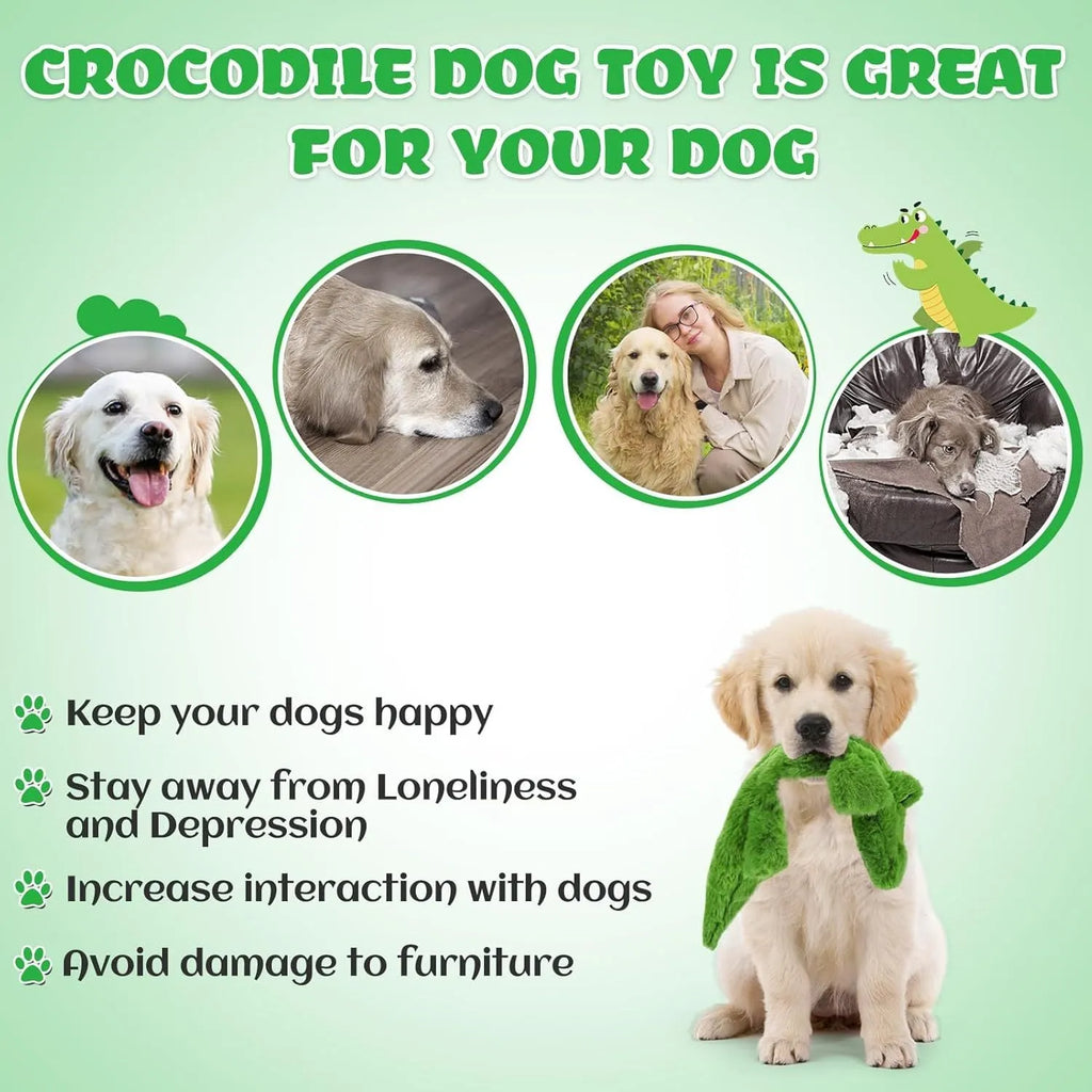 Green crocodile squeaky dog toy with no stuffing, crinkle paper tail, for aggressive chewers