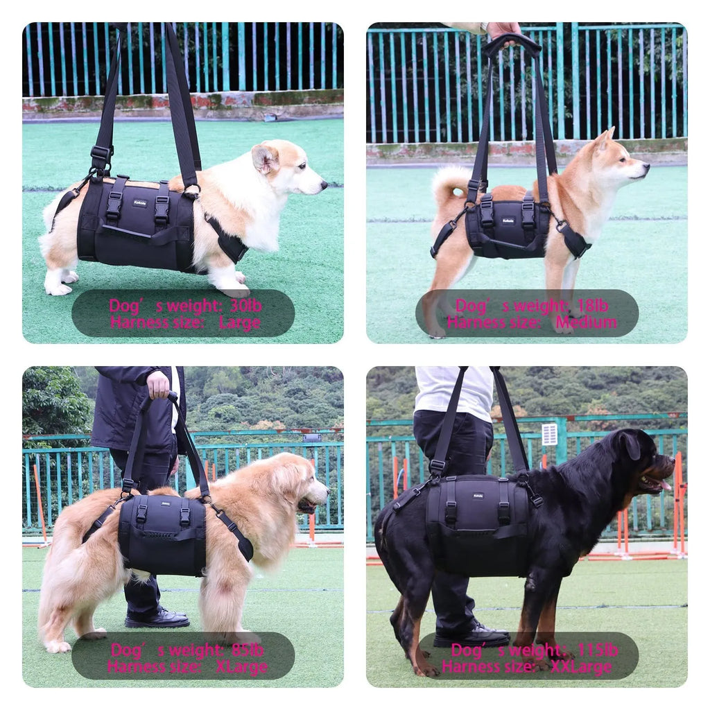 Black Oxford cloth dog rehabilitation harness with breast strap and leg support shown on dog